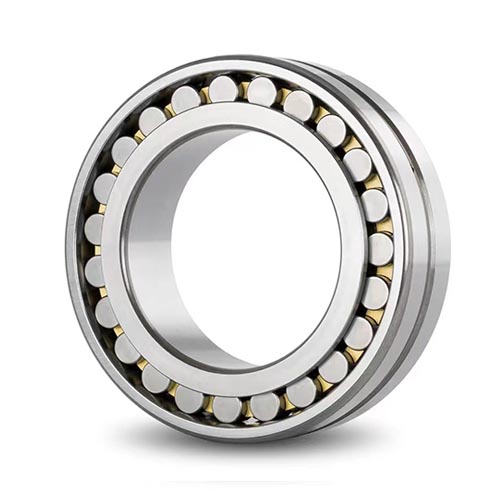 Double Row Cylindrical Roller Bearings